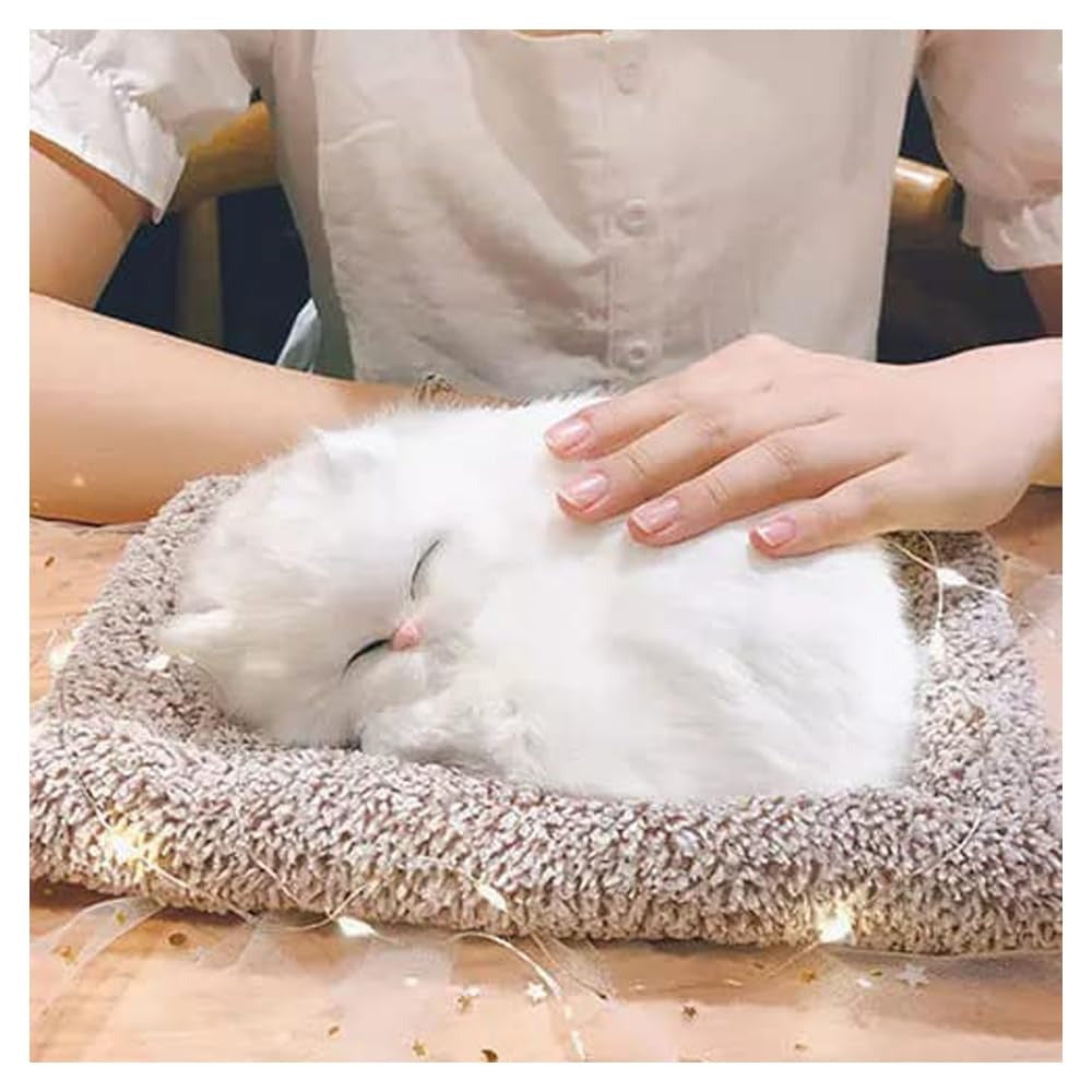 Sleeping Cute Cat for Car Dashboard and Home Decor with Activated Carbon for Absorbing Odors