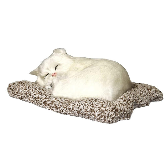 Sleeping Cute Cat for Car Dashboard and Home Decor with Activated Carbon for Absorbing Odors